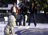 The Bee Gees photo print featuring a serene water fountain backdrop.