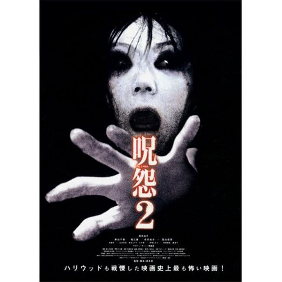 Ju-on The Grudge 2 Movie Poster 11x17 print