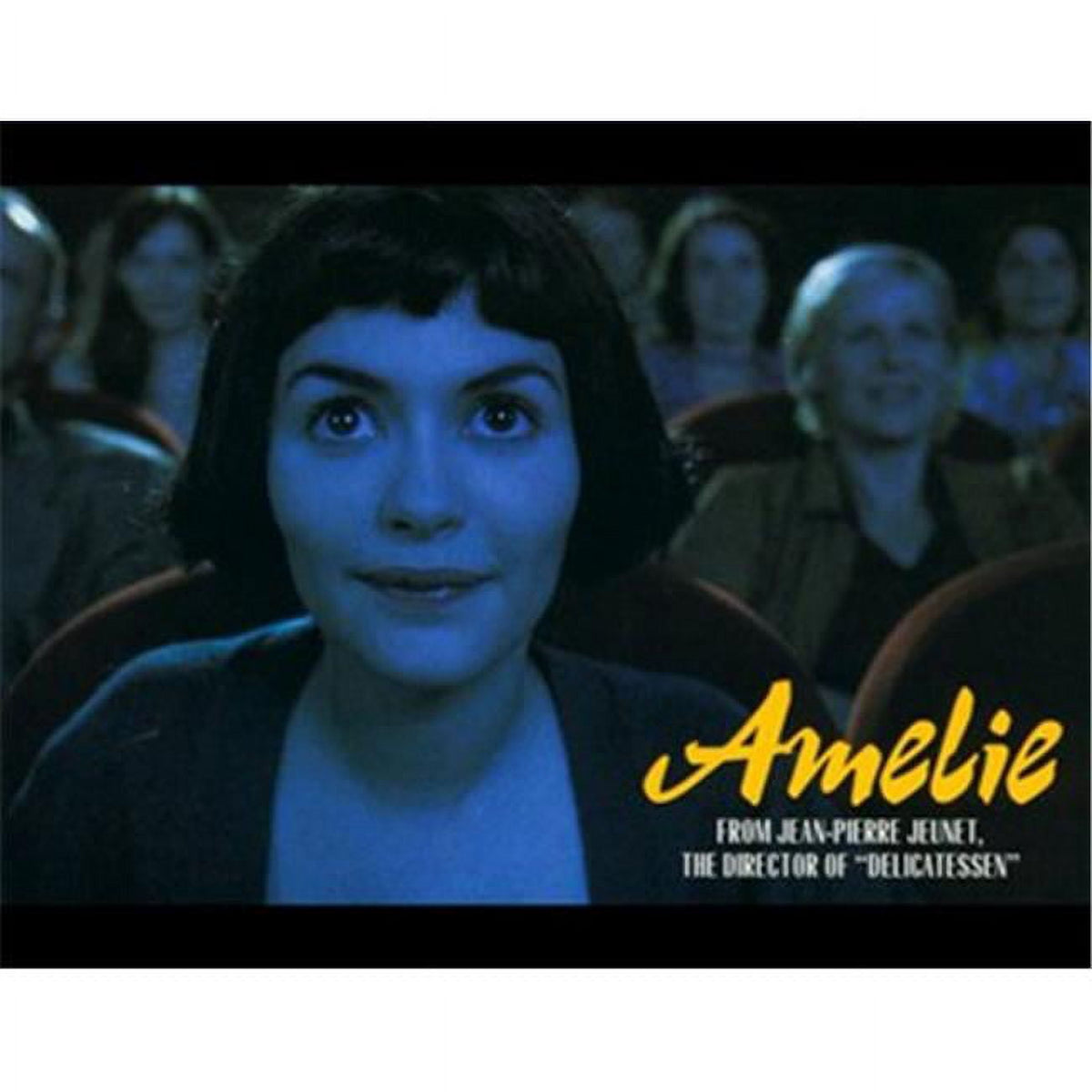 Amelie movie poster art print 17x11 inches