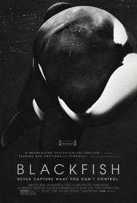 Blackfish Movie Poster Print 27x40 - Captivating marine life artwork