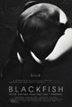 Blackfish Movie Poster Print 27x40 - Captivating marine life artwork
