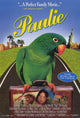 Paulie Movie Poster - 11x17 Print featuring the beloved parrot.