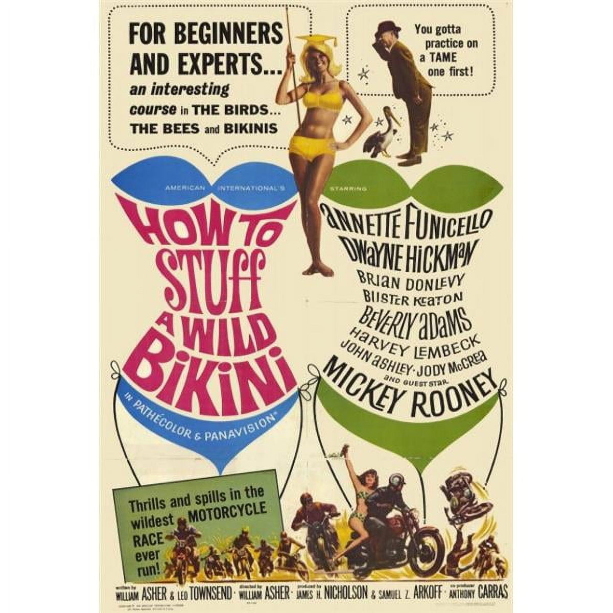 How to Stuff a Wild Bikini Movie Poster Print 27x40