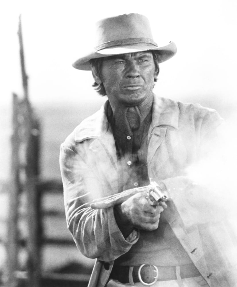 Once Upon A Time in The West Portrait Poster Print 8x10