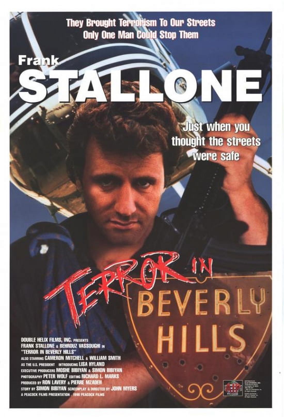 Terror in Beverly Hills Movie Poster Print 27x40