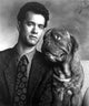 Tom Hanks wearing a patterned tie with a dog photo print.
