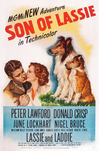 Son of Lassie 1945 Movie Poster Art Print - Classic Film