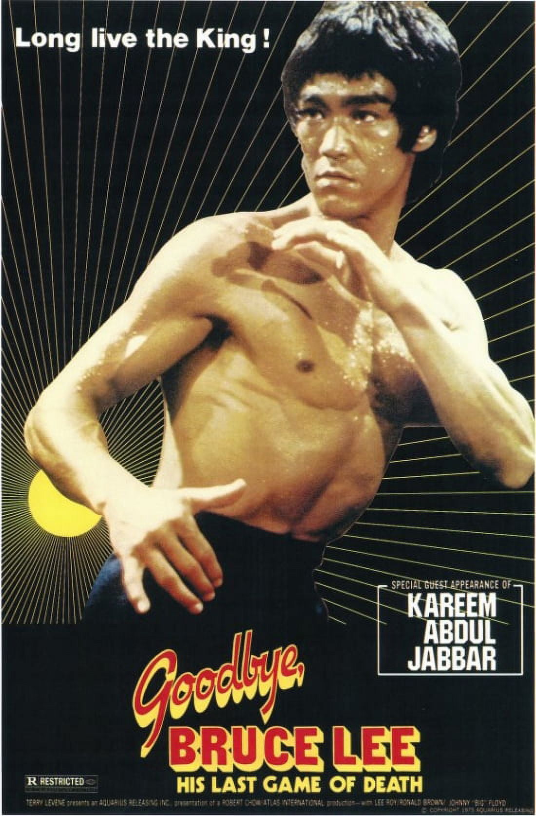 Goodbye Bruce Lee - His Last Game of Death movie poster 11x17