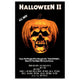Halloween 2: The Nightmare Isn't Over! Movie Poster Print - 27x40