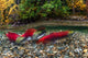 Adams River Sockeye Salmon Photo Print showcasing vibrant colors and natural beauty.
