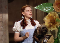 The Wizard Of Oz Photo Print in 10x8 size, featuring iconic scenes from the classic film.