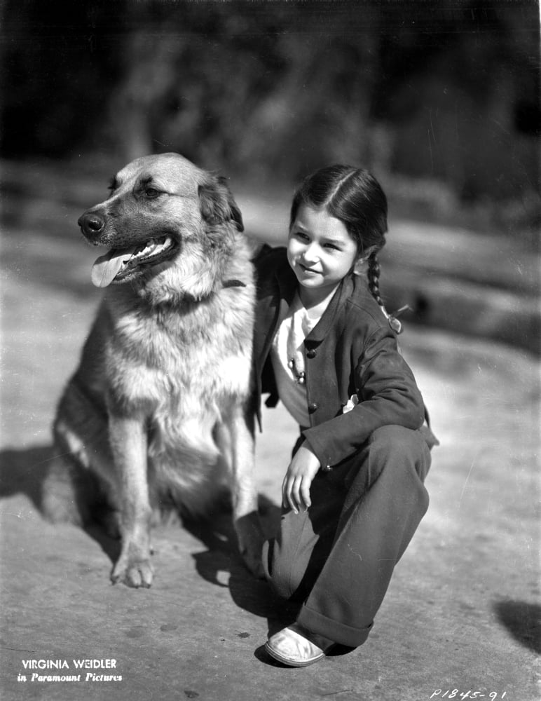 Virginia Weidler kneeling with dog photo print, nostalgic film art.