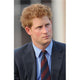 Prince Harry addressing British and American veterans organizations print.