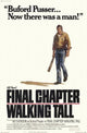 Walking Tall The Final Chapter Movie Poster 11x17