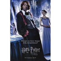 Harry Potter and the Goblet of Fire Movie Poster 11x17