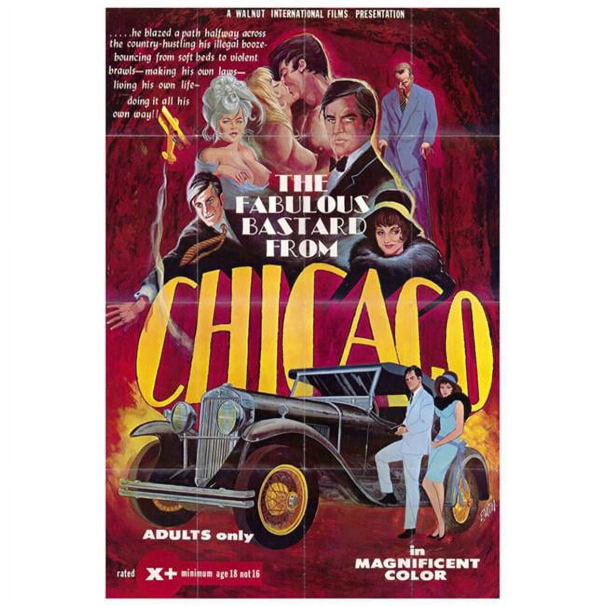 The Fabulous Bastard from Chicago movie poster print 27x40