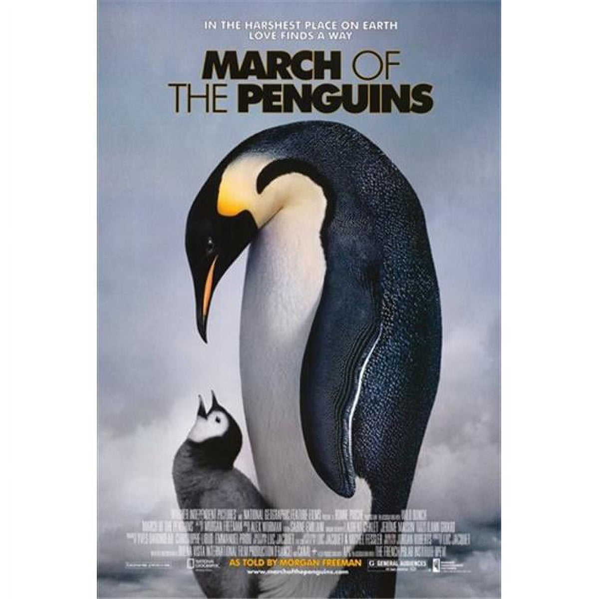 March of the Penguins Movie Poster Print 11x17