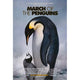 March of the Penguins Movie Poster Print 11x17