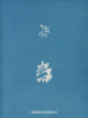 Schizonema Ramosissimum botanical poster print by Anna Atkins