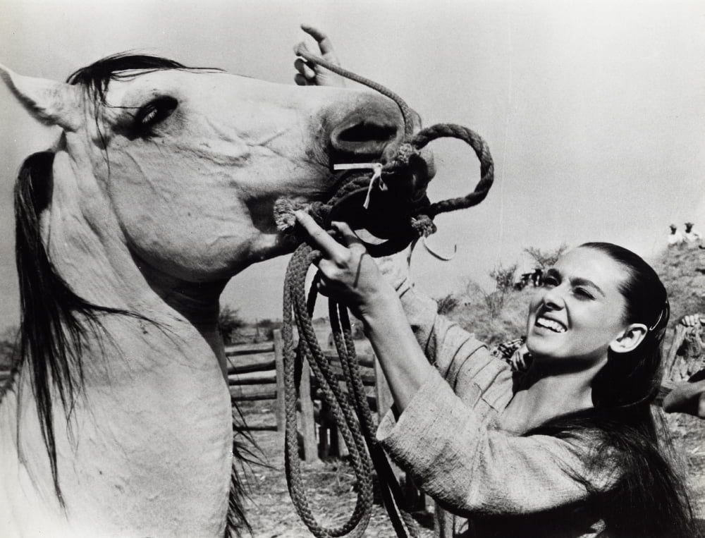 Audrey Hepburn putting a bridle on a horse, classic photo print
