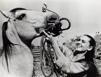 Audrey Hepburn putting a bridle on a horse, classic photo print