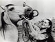 Audrey Hepburn putting a bridle on a horse, classic photo print