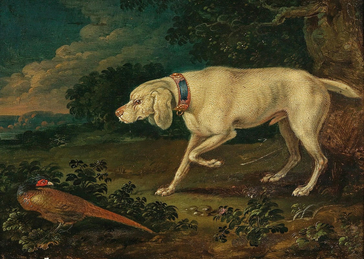 Hunting dog standing next to a pheasant poster print by Anton Enzinger
