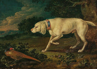 Hunting dog standing next to a pheasant poster print by Anton Enzinger