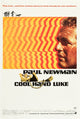 Cool Hand Luke Movie Poster featuring Paul Newman from the 1967 film.