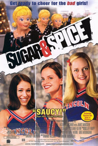 Sugar & Spice Movie Poster 11x17 vibrant print