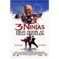 3 Ninjas: High Noon at Mega Mountain Movie Poster Print (27x40)