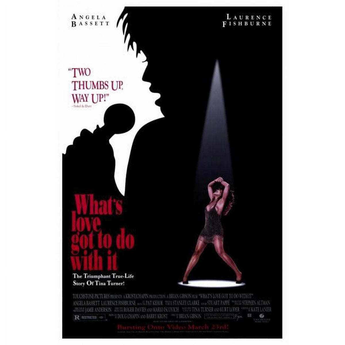 What's Love Got to Do with It? movie poster print 27x40
