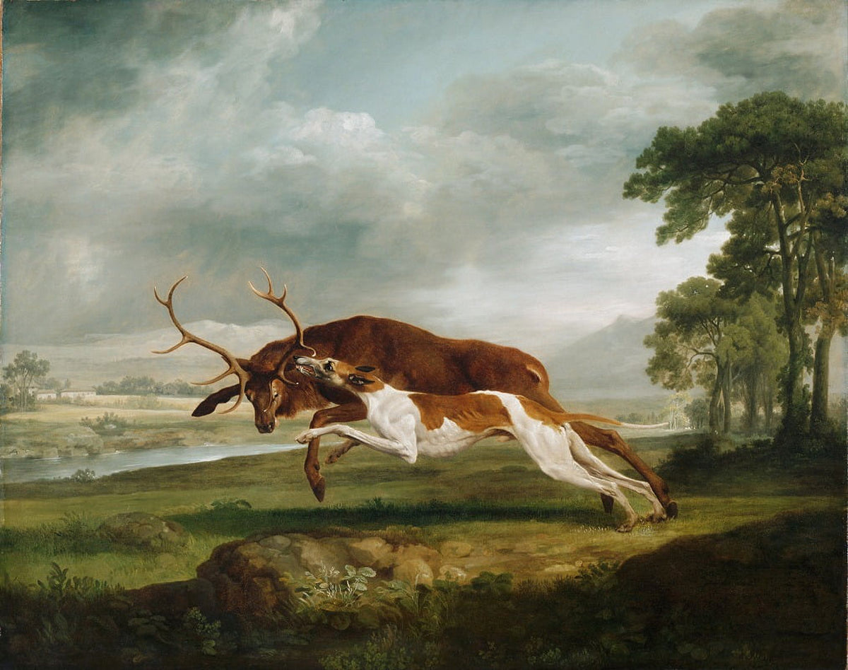 Hound Coursing a Stag fine art print by George Stubbs