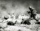 German soldiers in the Battle of Stalingrad photo print