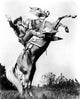 Vintage photo print of Roy Rogers riding Trigger from the 1940s.