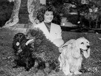 Katharine Hepburn in white dress with dog photo print