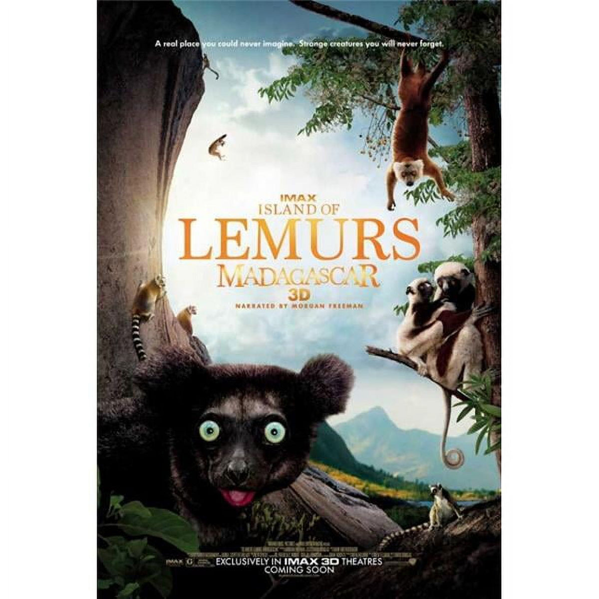Island of Lemurs Madagascar IMAX movie poster in vibrant colors.