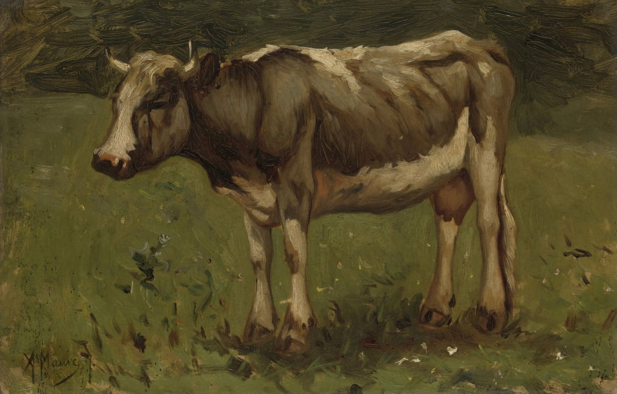 Guernsey Dairy Cow in a Pasture Fine Art Print by Anton Mauve