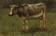 Guernsey Dairy Cow in a Pasture Fine Art Print by Anton Mauve