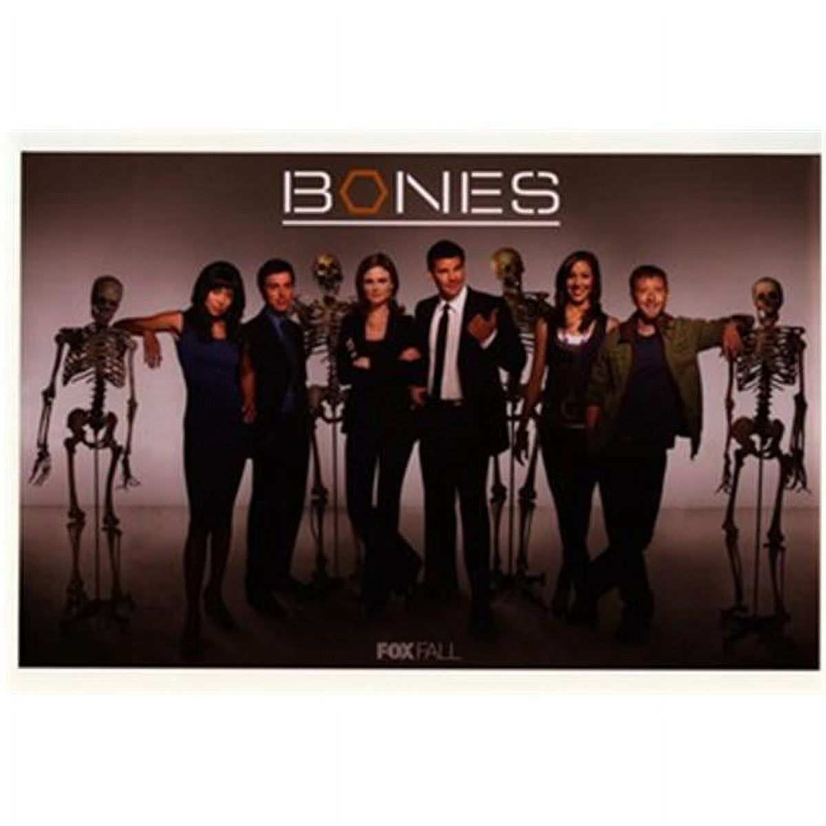 Bones TV Show Movie Poster - 17x11 Print showcasing crime drama imagery.