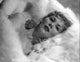 Veda Borg #3 Photography Print - Stunning art piece available in multiple sizes.