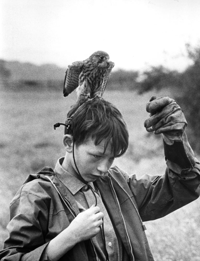Kes Photo Print available in 8x10 and 24x30 sizes.