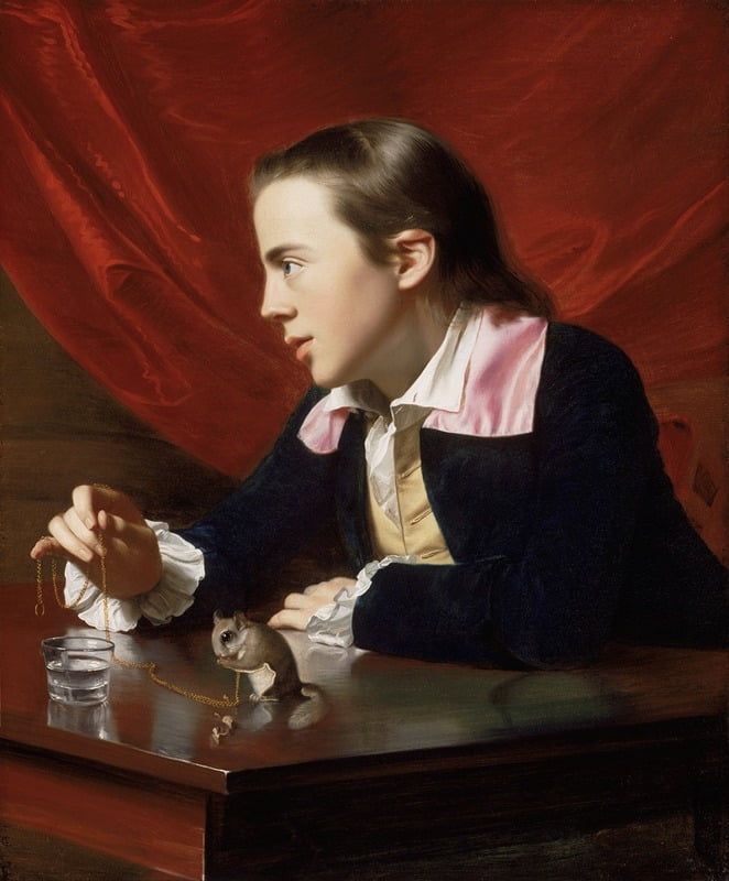A Boy with a Flying Squirrel fine art print by John Singleton Copley, showcasing exquisite detail and vibrant colors.