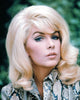 Stella Stevens 1960s photo print showcasing classic Hollywood glamour.