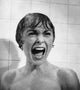 Janet Leigh Psycho Shower Scene Photo Print 8x10