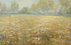 Meadow in Bloom fine art poster print by Egbert Rubertus Derk Schaap showcasing vibrant wildflowers.