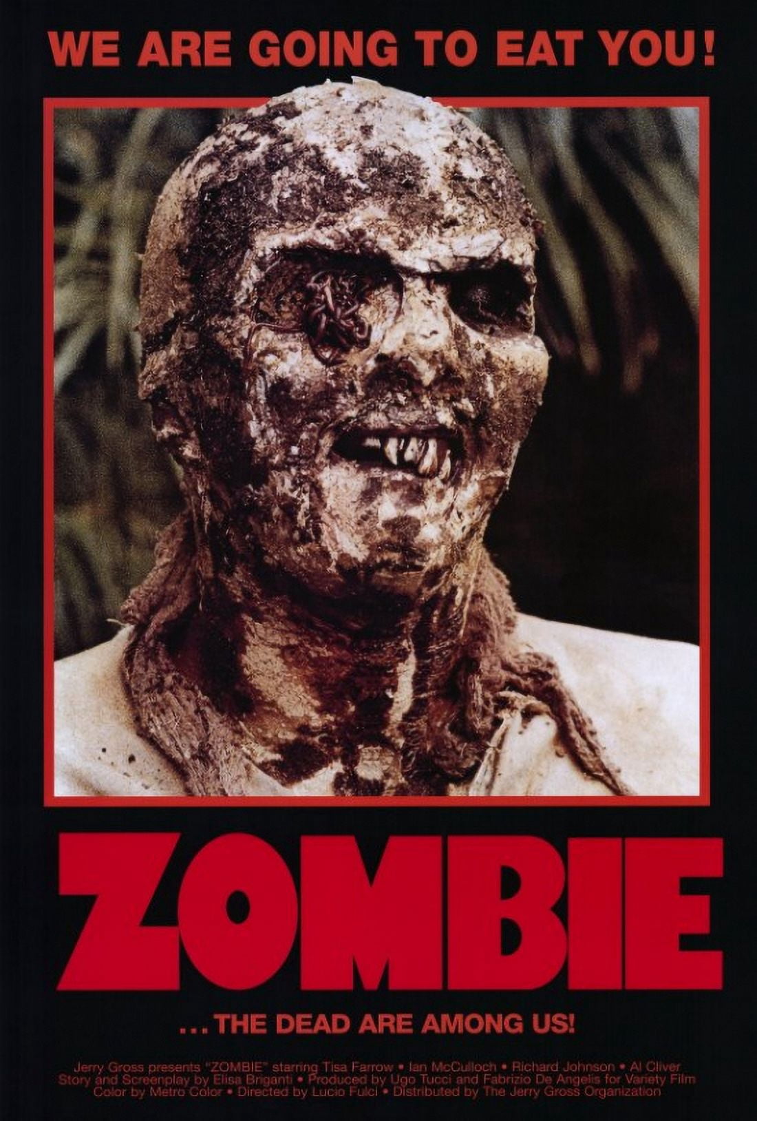 Zombie Movie Poster Print 27x40 showcasing horror genre art.