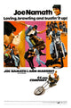 Joe Namath and Ann-Margret 1970 Movie Masterprint Poster