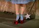 The Wizard of Oz Photo Print showcasing iconic scenes from the classic film.