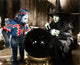 The Wizard of Oz classic photo print showcasing Dorothy and friends.